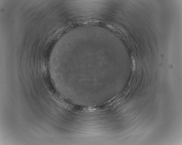 X0000075850607200610151612