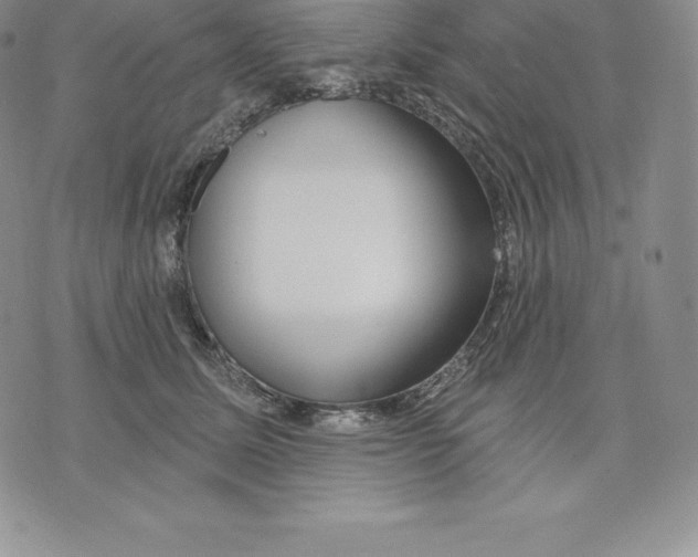 X0000075850611200610151612