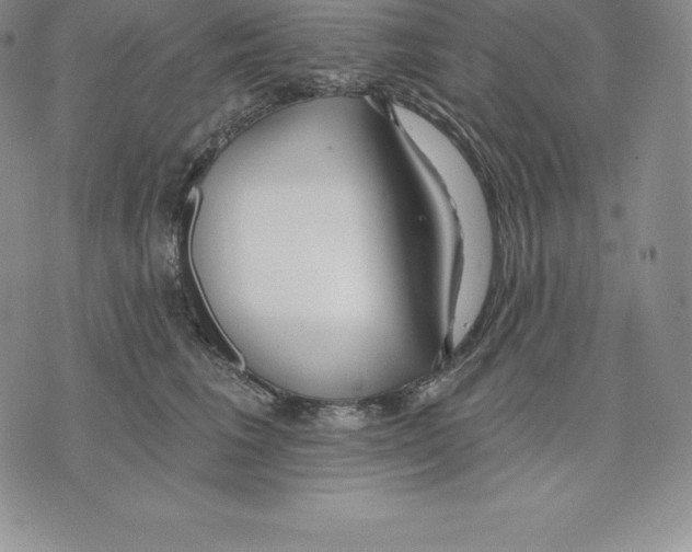 X0000075850613200610151612