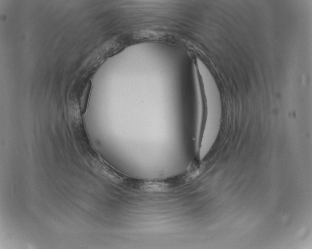 X0000075850617200610151611