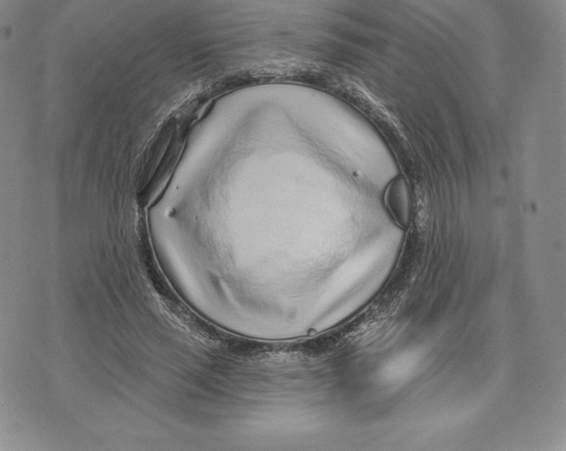 X0000075850637200610151611