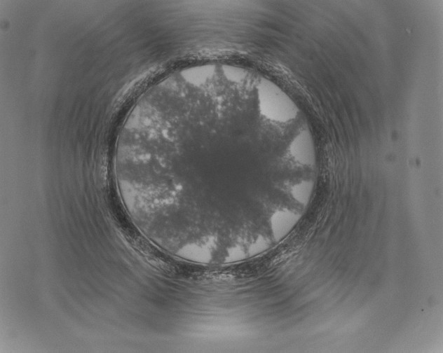 X0000075850640200610151611