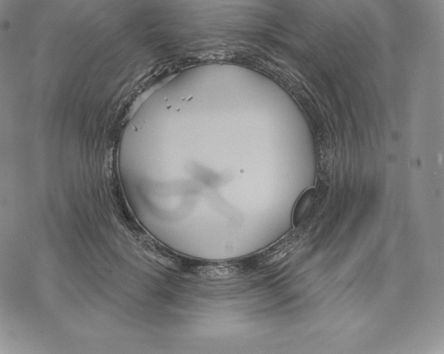 X0000075850652200610151611