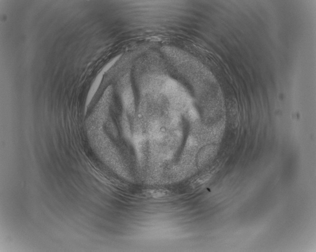 X0000075850654200610151611