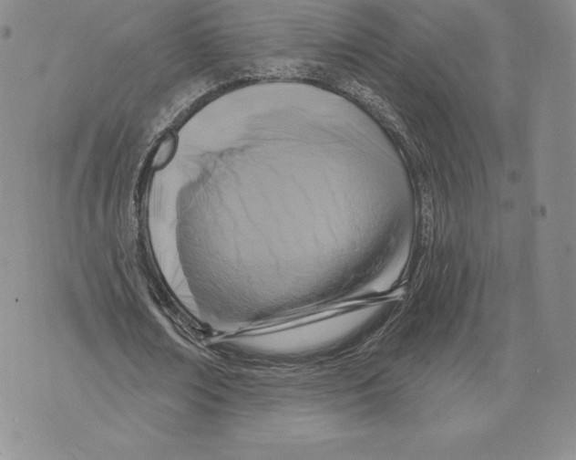 X0000075850674200610151611