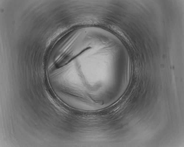 X0000075850677200610151611