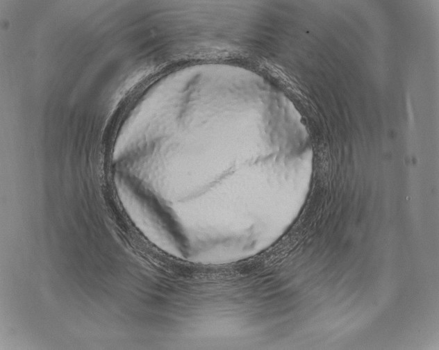 X0000075850679200610151610