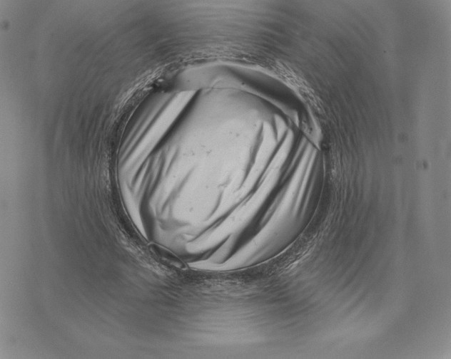 X0000075850681200610151610