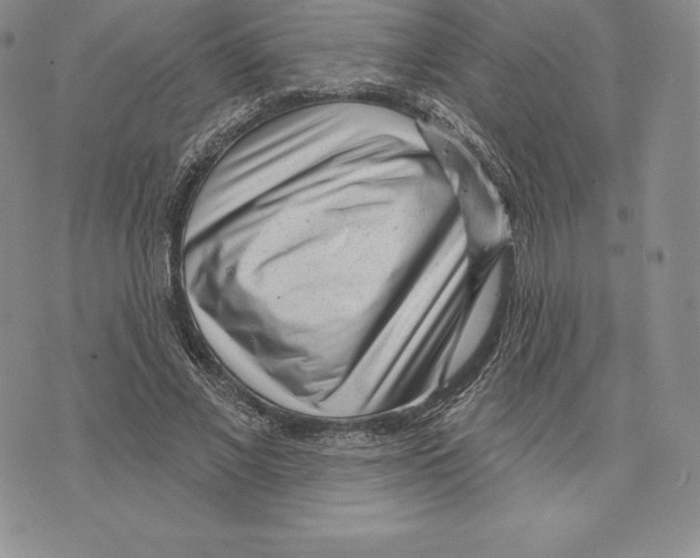 X0000075850685200610151610