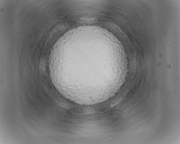 X0000075850701200610151610