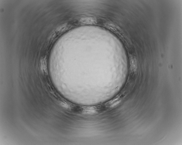 X0000075850705200610151610