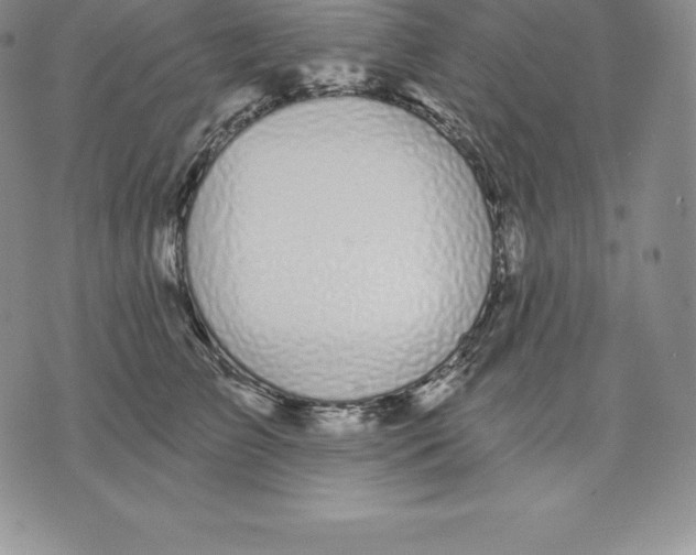 X0000075850709200610151610