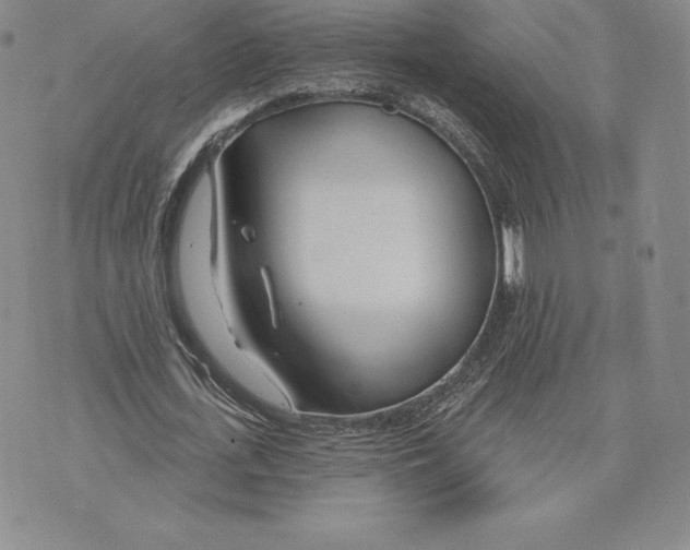 X0000075850723200610151609