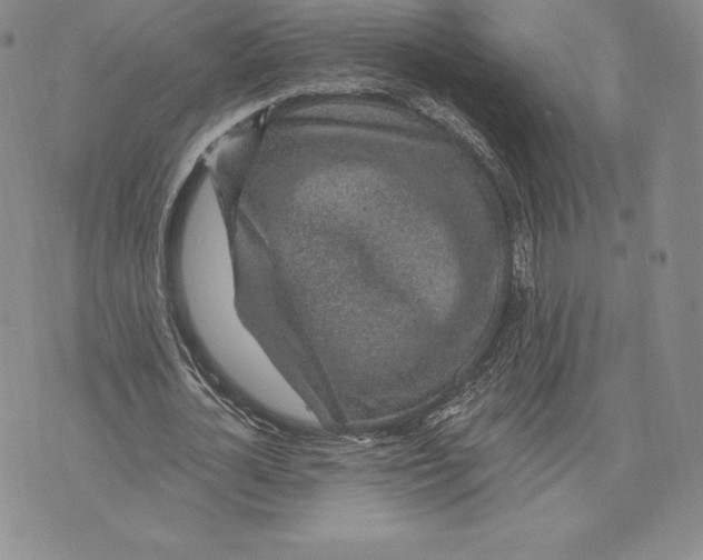 X0000075850724200610151609