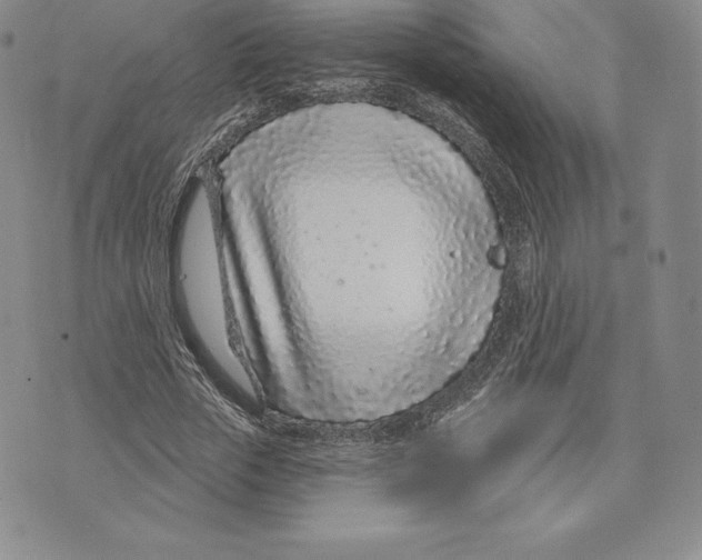 X0000075850729200610151609