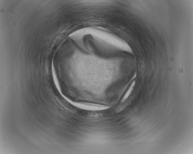 X0000075850760200610151610