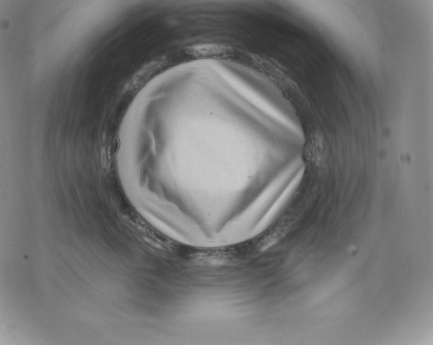 X0000075850763200610151610