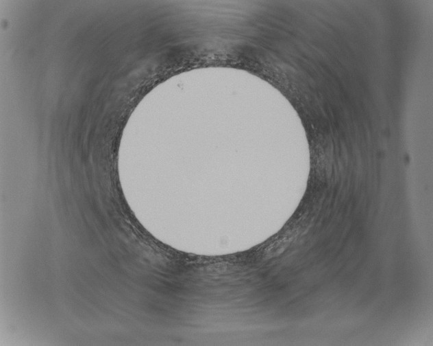 X0000075850769200610151609