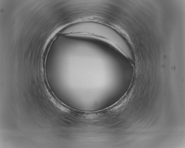 X0000075850792200610151609