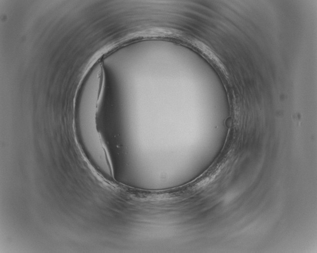 X0000075850845200610151608