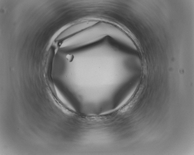 X0000075850862200610151608