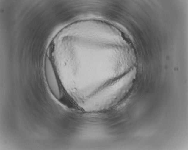 X0000075850863200610151608
