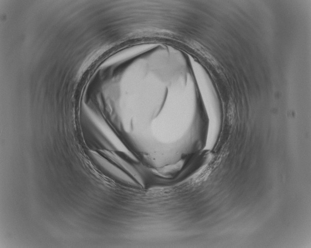 X0000075850877200610151607