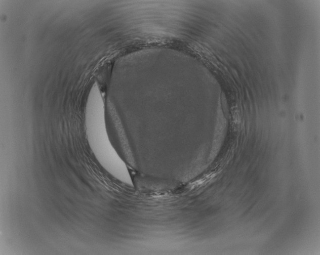 X0000075850916200610151606