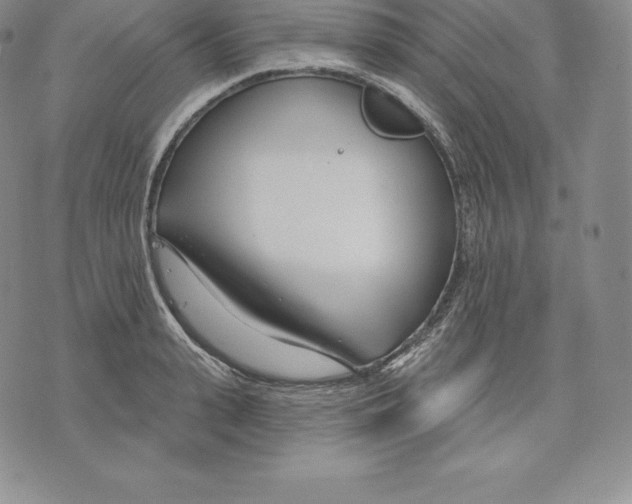 X0000075850943200610151606