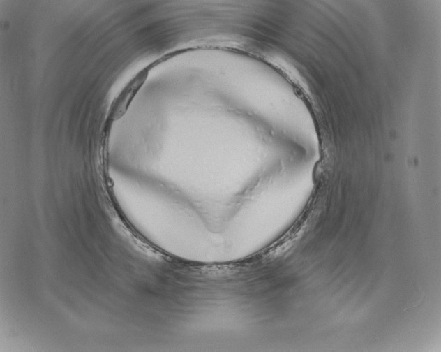 X0000075850952200610151607