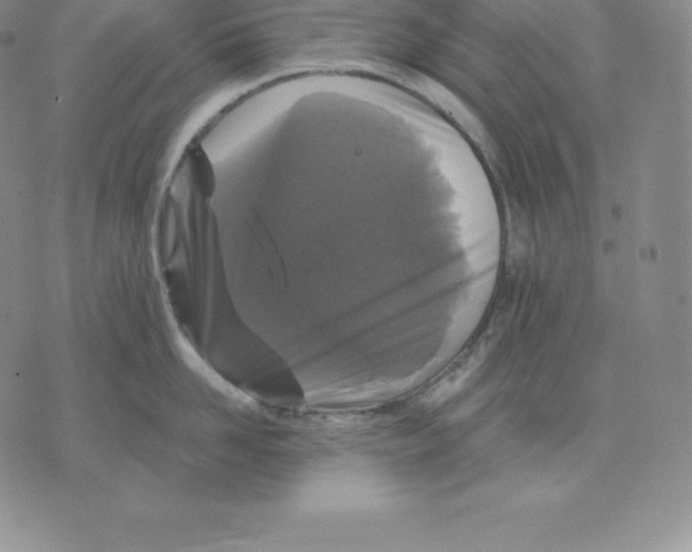 X0000075850958200610151607