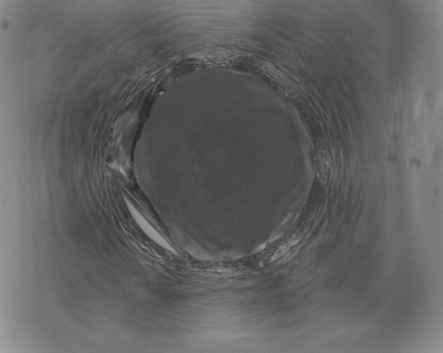 X0000075851010200610151604