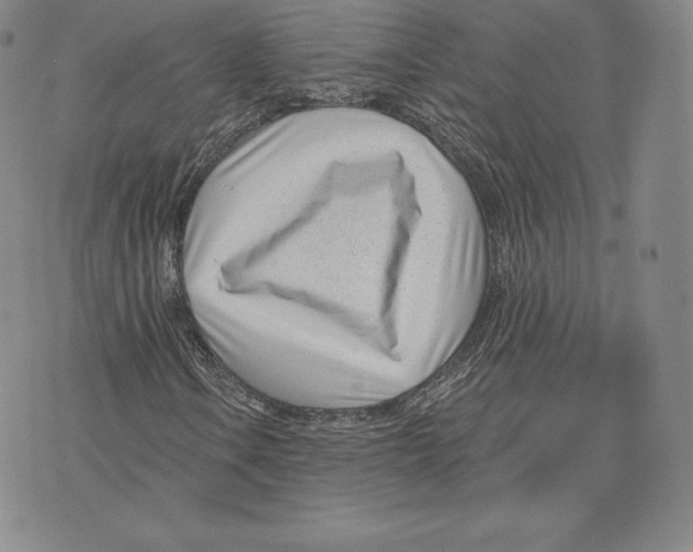 X0000075851106200610151603
