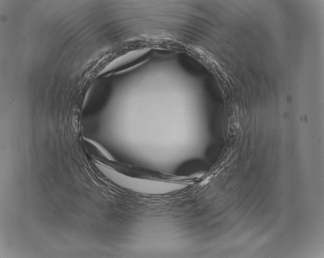 X0000075851110200610151603