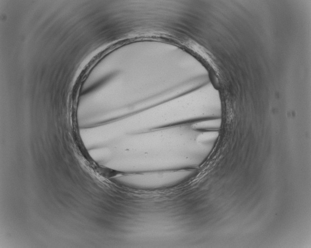 X0000075851124200610151603