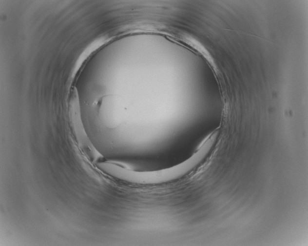 X0000075851146200610151603