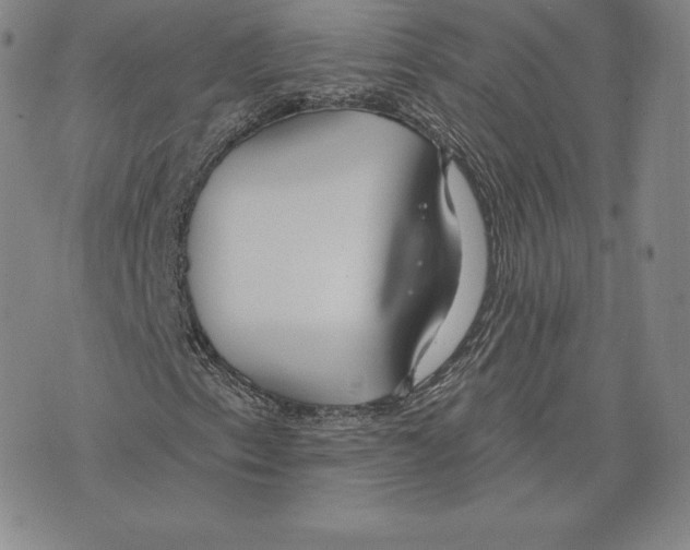 X0000075851153200610151603