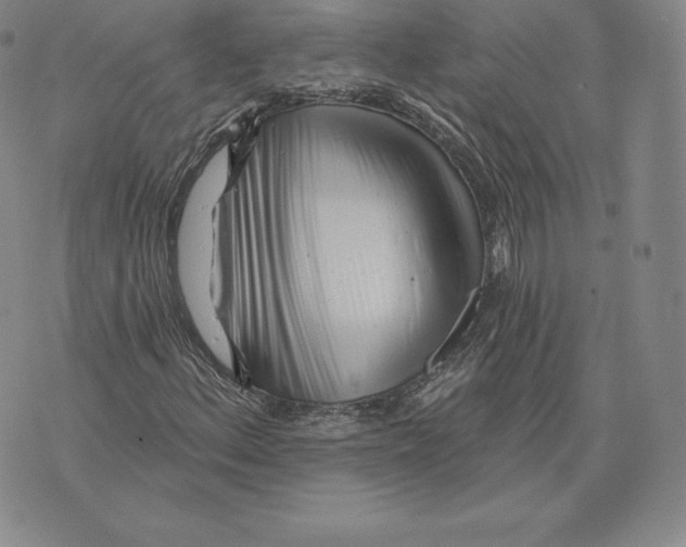 X0000075851156200610151603