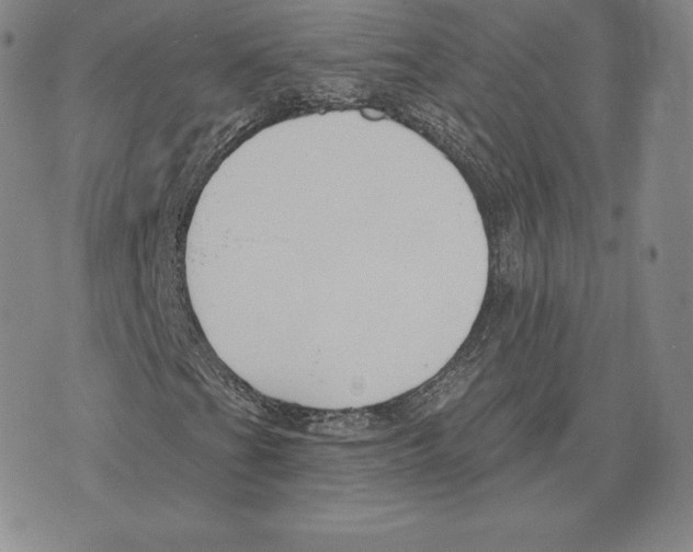 X0000075851201200610151601