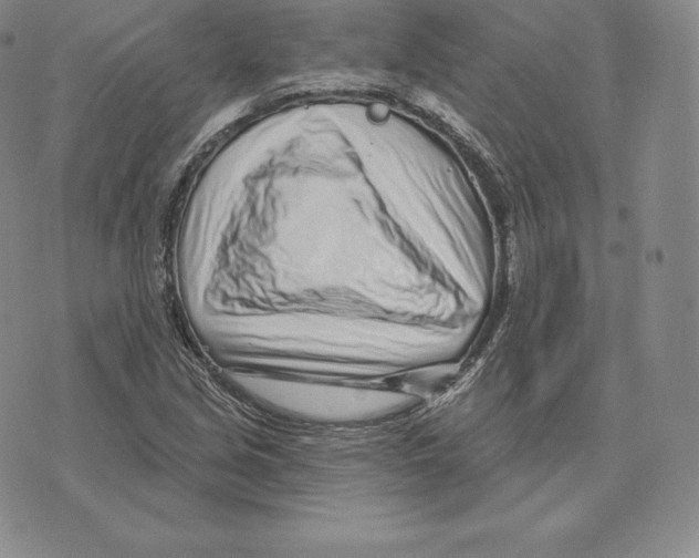 X0000075851213200610151601