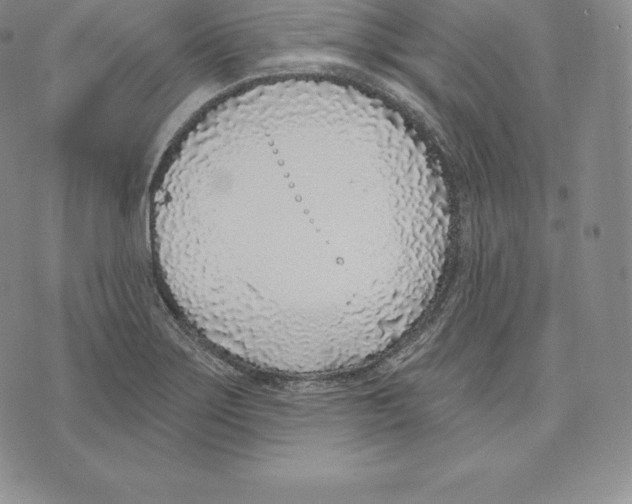 X0000075851275200610151601