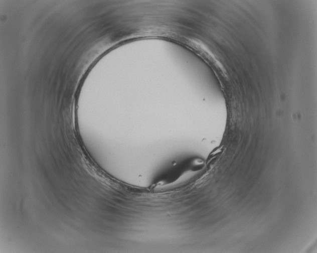 X0000075851276200610151601