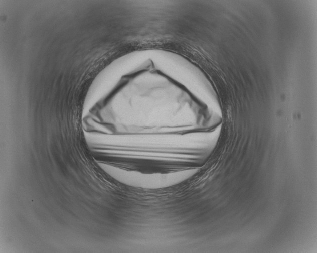 X0000075851300200610151600