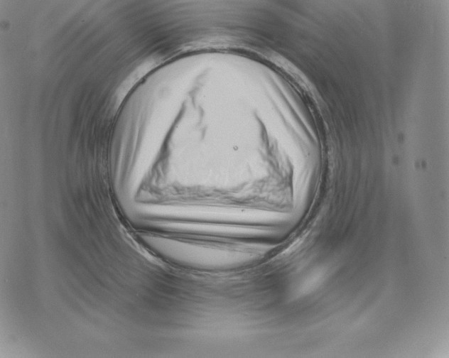 X0000075851337200610151600