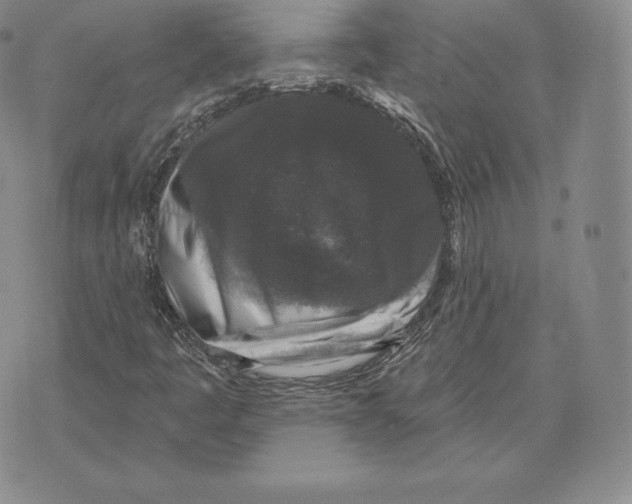 X0000075851445200610151558