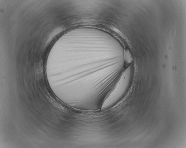 X0000075851450200610151558
