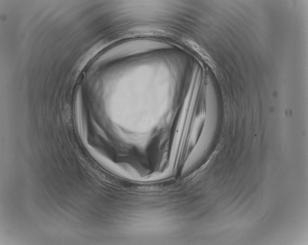 X0000075851465200610151558