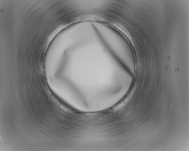 X0000075851481200610151557