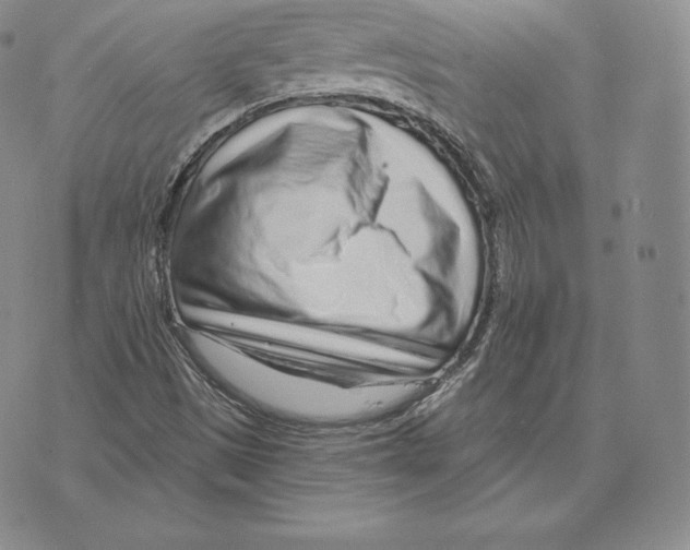 X0000075851497200610151557