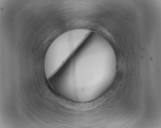 X0000075860027200609151006